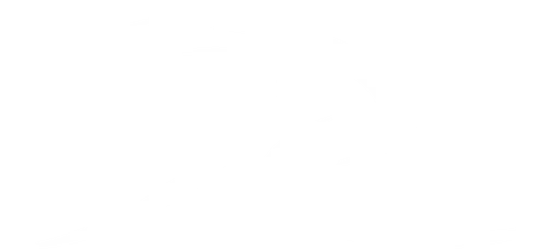Rikscha Deluxe